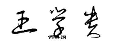 曾慶福王學貴草書個性簽名怎么寫