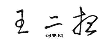 駱恆光王二想草書個性簽名怎么寫