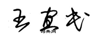 朱錫榮王宜民草書個性簽名怎么寫