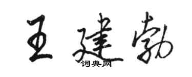駱恆光王建勃行書個性簽名怎么寫