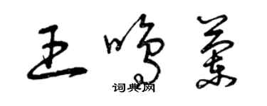 曾慶福王鳴蘭草書個性簽名怎么寫