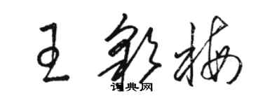 駱恆光王彩梅草書個性簽名怎么寫