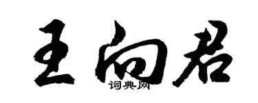 胡問遂王向君行書個性簽名怎么寫