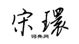 王正良宋環行書個性簽名怎么寫