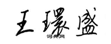 王正良王環盛行書個性簽名怎么寫