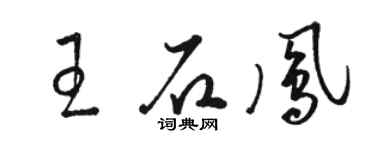 駱恆光王石鳳草書個性簽名怎么寫