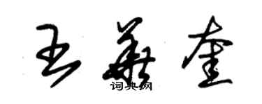 朱錫榮王華奎草書個性簽名怎么寫