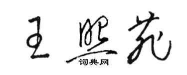 駱恆光王照菲草書個性簽名怎么寫