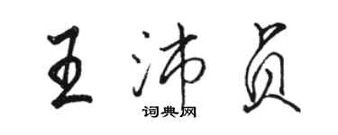 駱恆光王沛貞行書個性簽名怎么寫