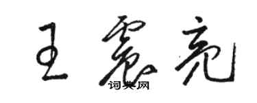 駱恆光王震亮草書個性簽名怎么寫