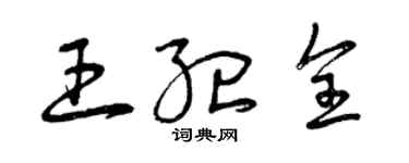 曾慶福王紀全草書個性簽名怎么寫