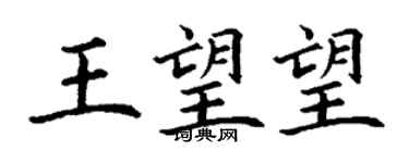 丁謙王望望楷書個性簽名怎么寫
