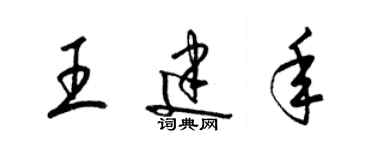 梁錦英王建年草書個性簽名怎么寫