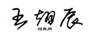 朱錫榮王翊辰草書個性簽名怎么寫