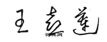 駱恆光王喜蓮草書個性簽名怎么寫