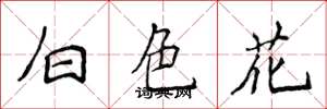 侯登峰白色花楷書怎么寫