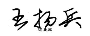 朱錫榮王揚兵草書個性簽名怎么寫