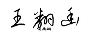 梁錦英王翻幽草書個性簽名怎么寫