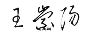 駱恆光王崇陽草書個性簽名怎么寫