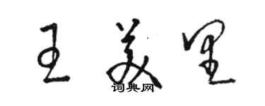 駱恆光王美里草書個性簽名怎么寫