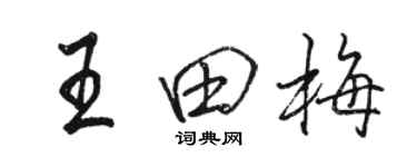 駱恆光王田梅行書個性簽名怎么寫
