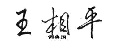 駱恆光王相平行書個性簽名怎么寫