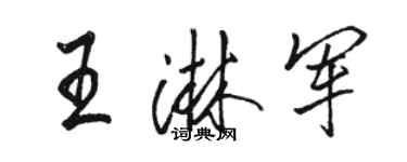 駱恆光王淋軍行書個性簽名怎么寫