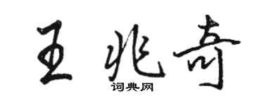 駱恆光王兆奇行書個性簽名怎么寫