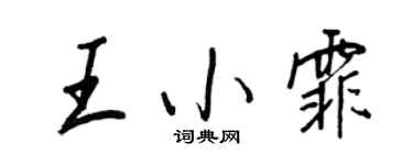 王正良王小霏行書個性簽名怎么寫