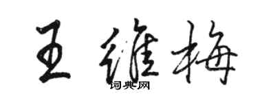 駱恆光王維梅行書個性簽名怎么寫