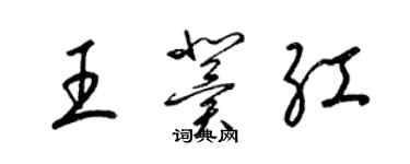 梁錦英王冀紅草書個性簽名怎么寫