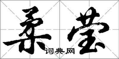 胡問遂柔瑩行書怎么寫