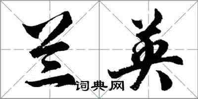 胡問遂蘭英行書怎么寫