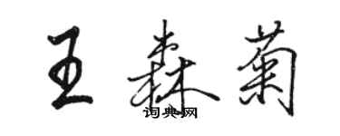 駱恆光王森菊行書個性簽名怎么寫