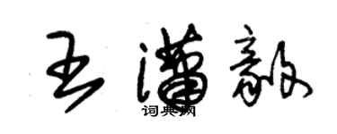 朱錫榮王瀟毅草書個性簽名怎么寫