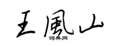 王正良王風山行書個性簽名怎么寫