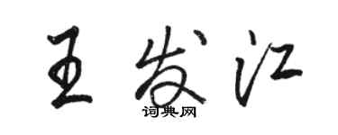 駱恆光王發江行書個性簽名怎么寫