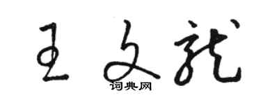 駱恆光王文龍草書個性簽名怎么寫