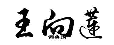 胡問遂王向蓮行書個性簽名怎么寫