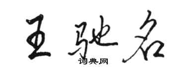 駱恆光王馳名行書個性簽名怎么寫