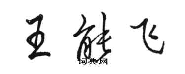 駱恆光王能飛行書個性簽名怎么寫