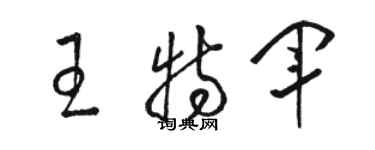 駱恆光王特軍草書個性簽名怎么寫