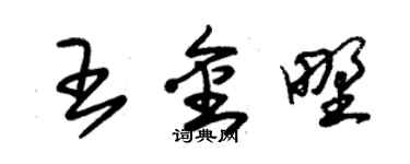 朱錫榮王金野草書個性簽名怎么寫