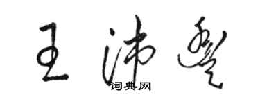 駱恆光王沛豐草書個性簽名怎么寫