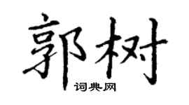 丁謙郭樹楷書個性簽名怎么寫