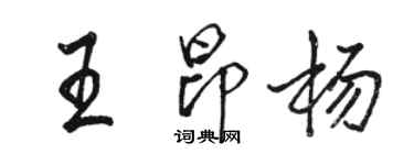 駱恆光王昂楊行書個性簽名怎么寫