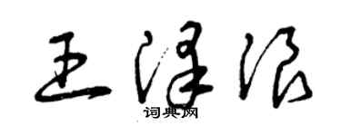 曾慶福王澤浪草書個性簽名怎么寫