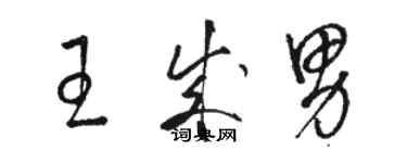 駱恆光王成男草書個性簽名怎么寫