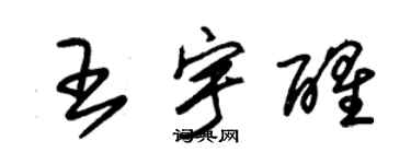 朱錫榮王宇醒草書個性簽名怎么寫