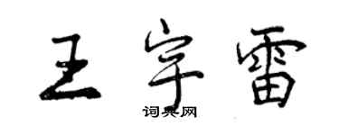 曾慶福王宇雷行書個性簽名怎么寫